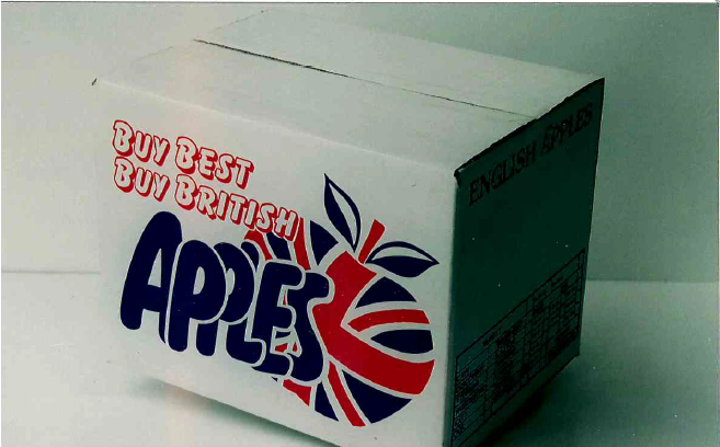 Screenshot 2026-01-29 094551