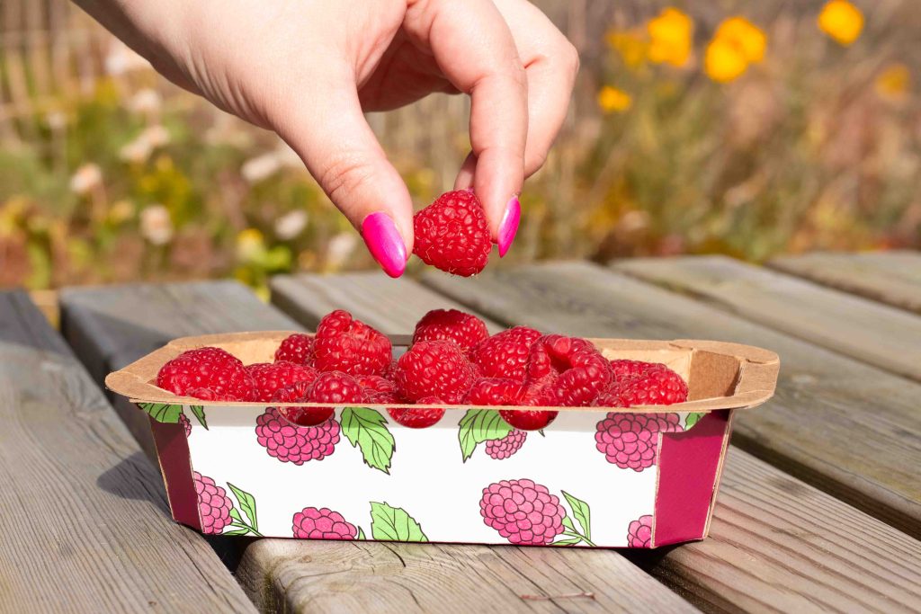 Printed top sealable paper punnet with raspberries in it
