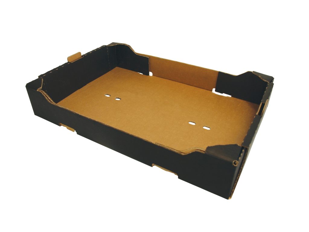 Produce Trays - Hand Erected|1004 - Produce Packaging